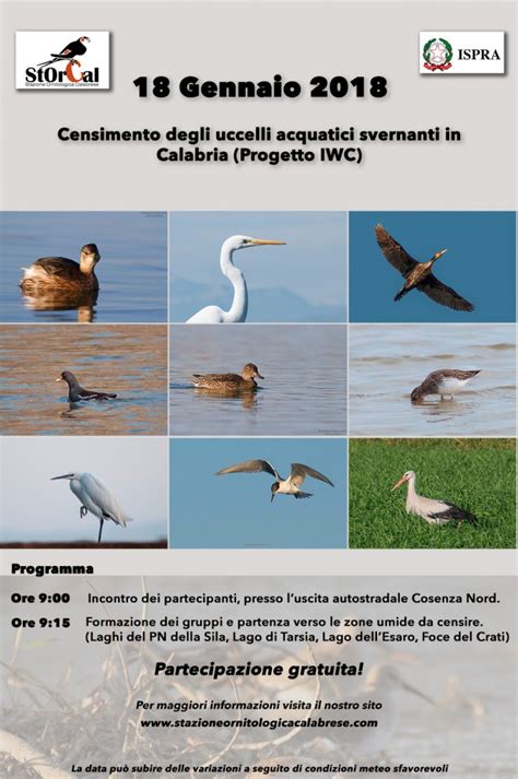 censimento iwc lombardia 2019|Le popolazioni di uccelli acquatici svernanti in Lombardia, 2019.